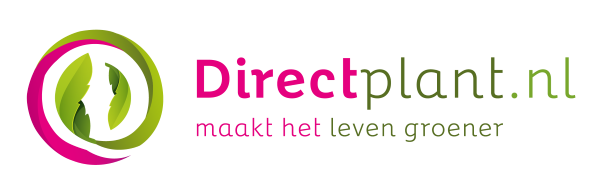Goedkope DirectPlant winkel